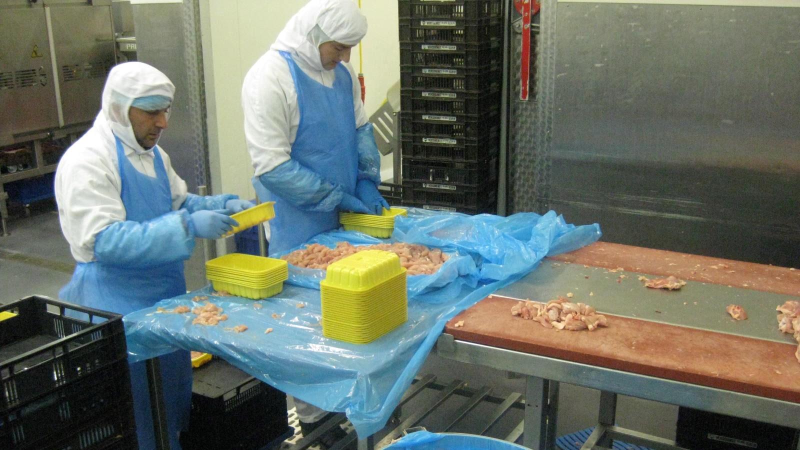 Two men with blue plastic aprons sorting chicken at assembly line